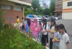 4학년 학교숲 체험학습 3회차... 미리보기