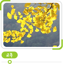 교목